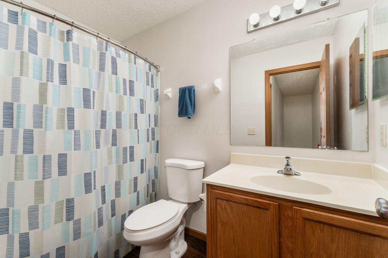 431 Vanderbuilt Street