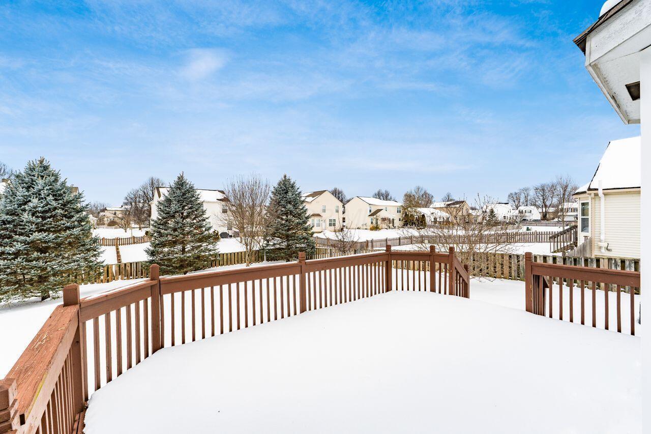 431 Vanderbuilt Street