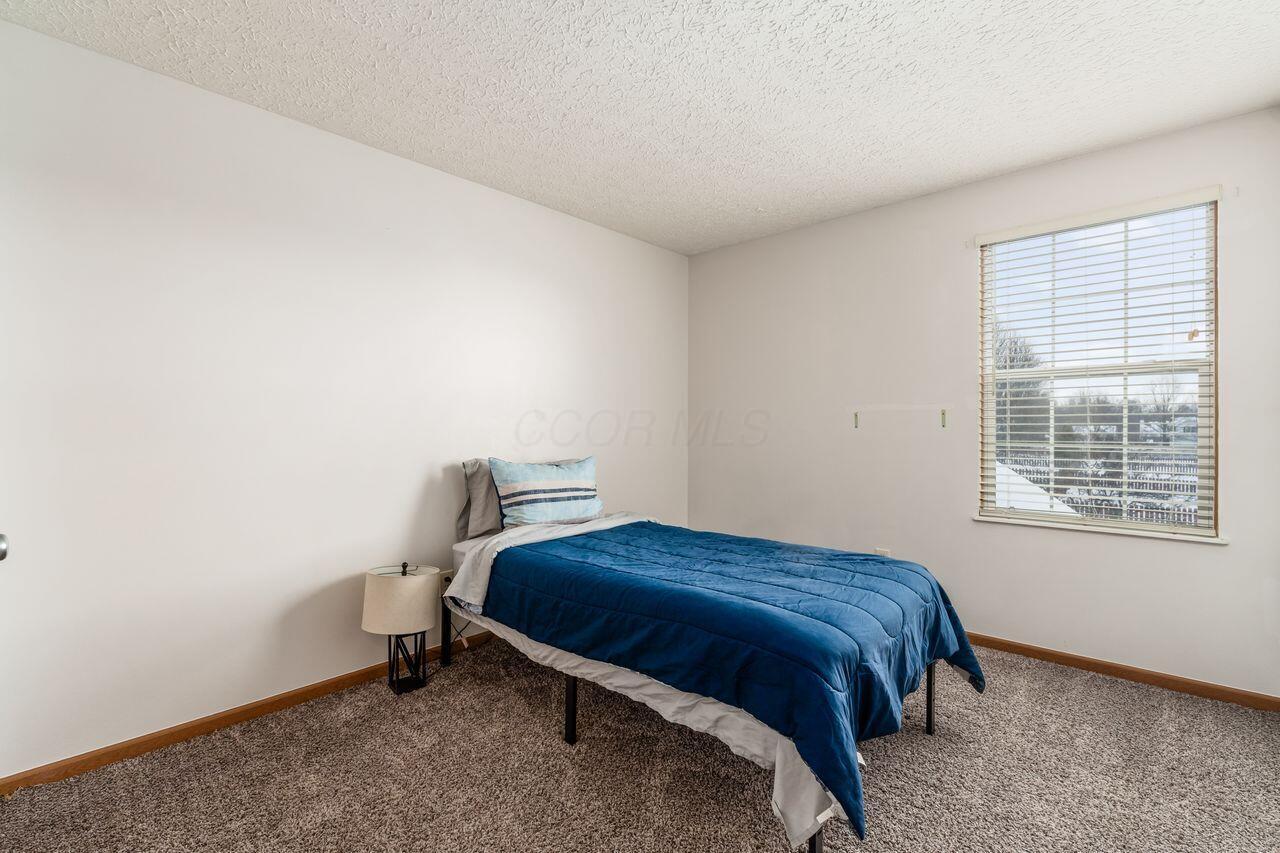 431 Vanderbuilt Street