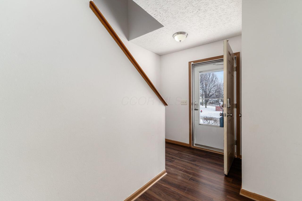 431 Vanderbuilt Street