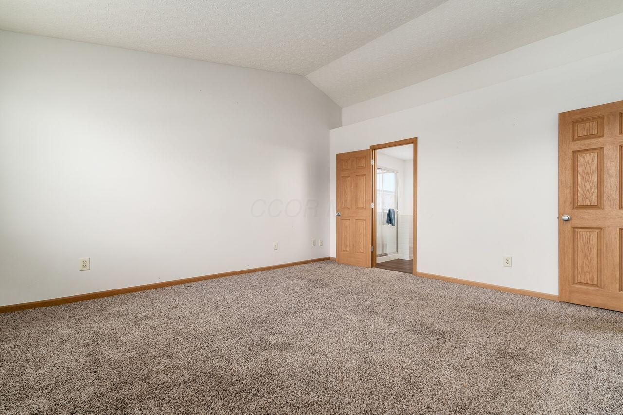 431 Vanderbuilt Street