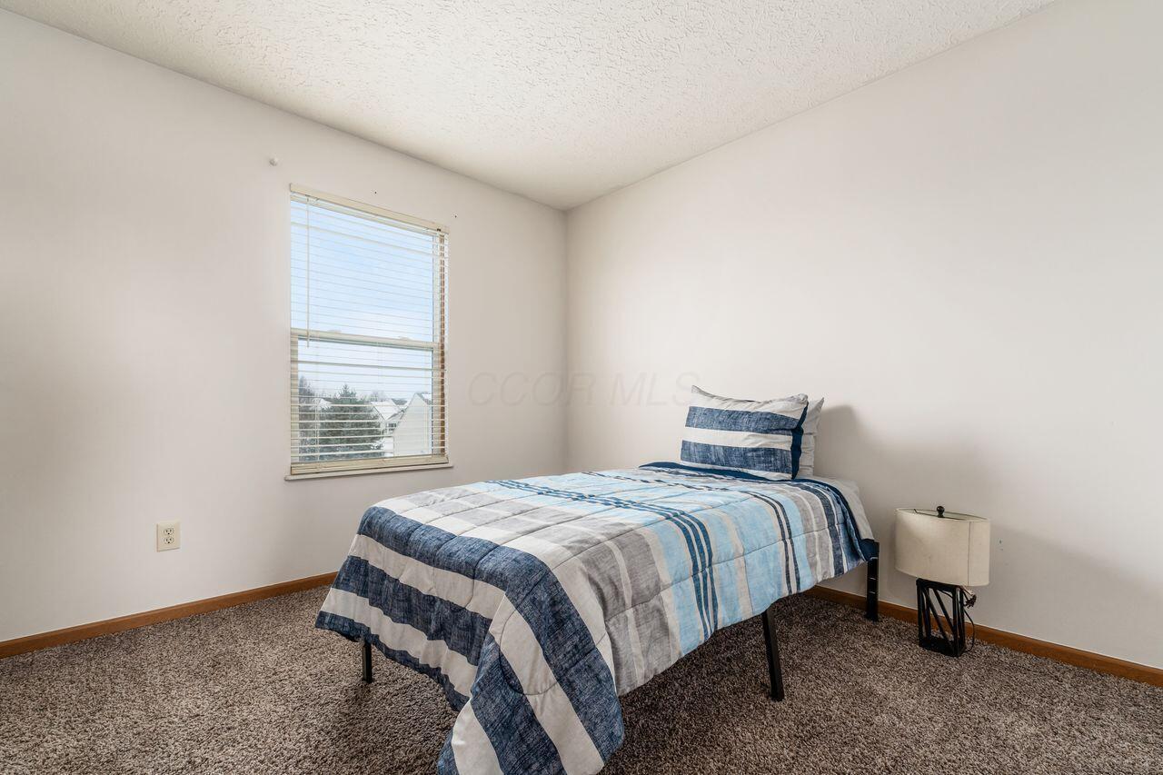 431 Vanderbuilt Street