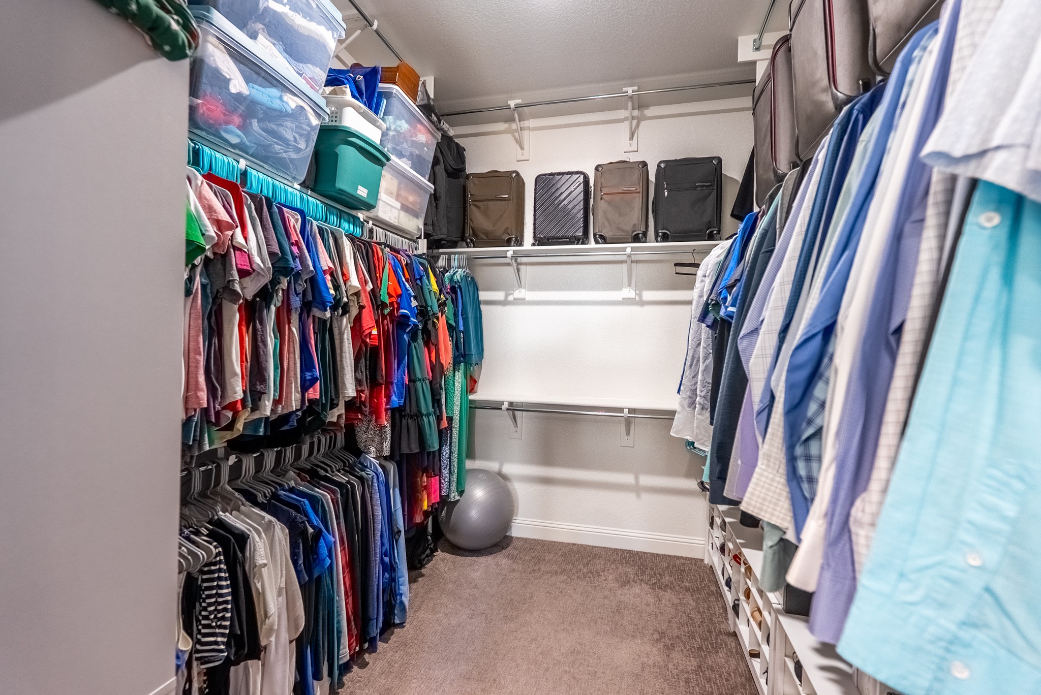 1806 Birds Fort Trail