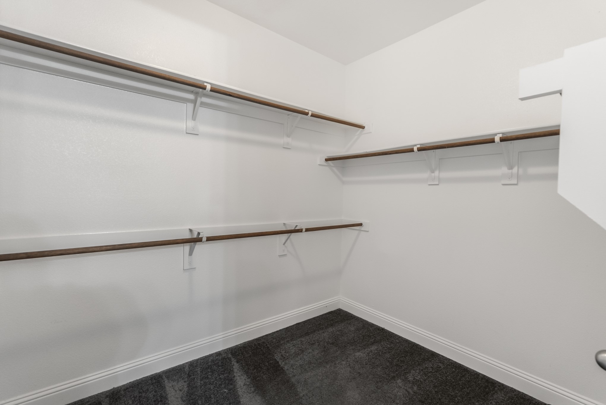 1110 Amber Rose Way