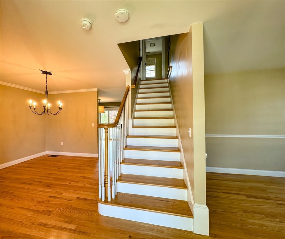 14 Beech Ave