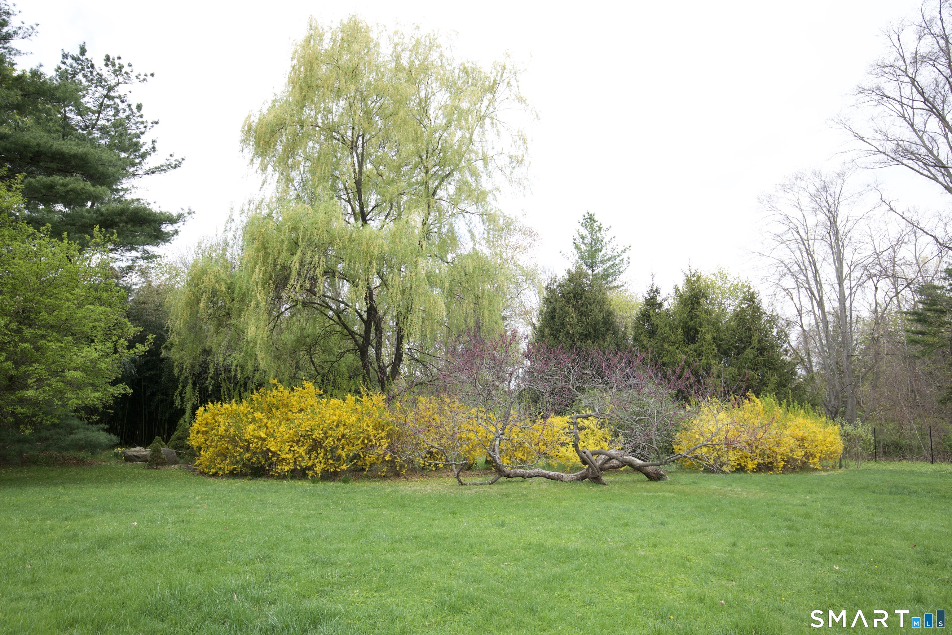 11 Clapboard Hill Road