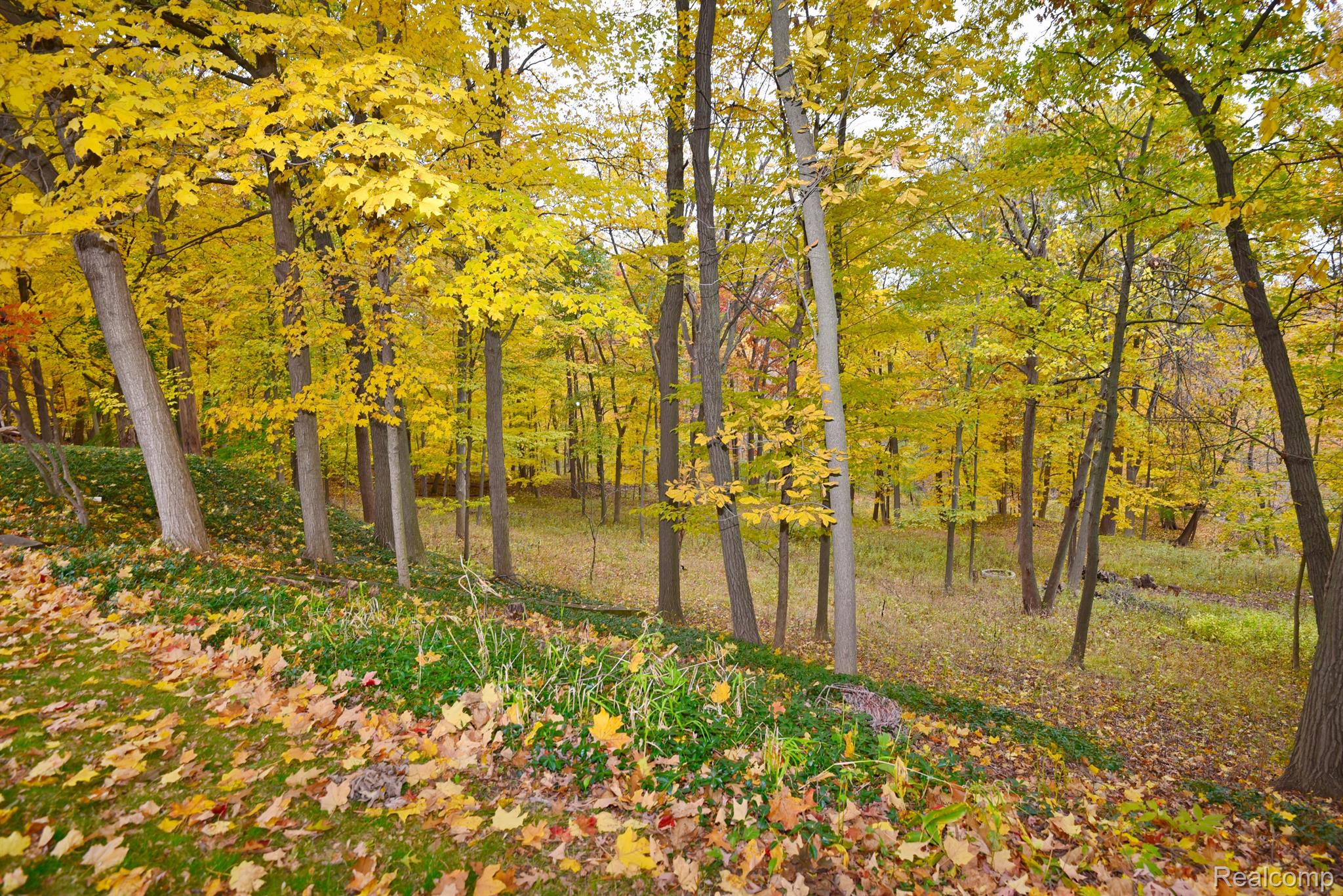 33733 BRAEBURY RIDGE