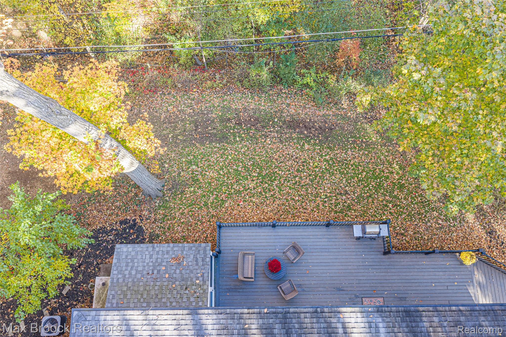 433 Whippers In Court