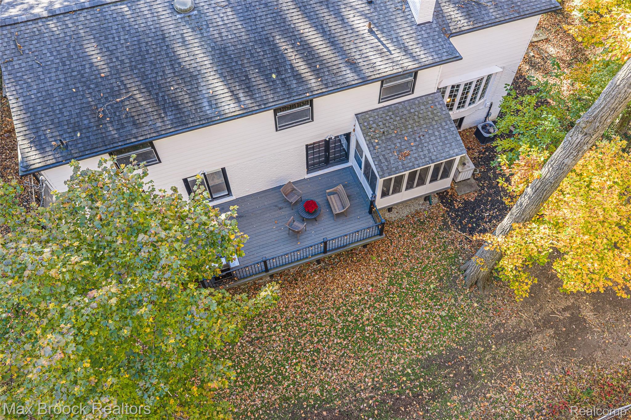 433 Whippers In Court