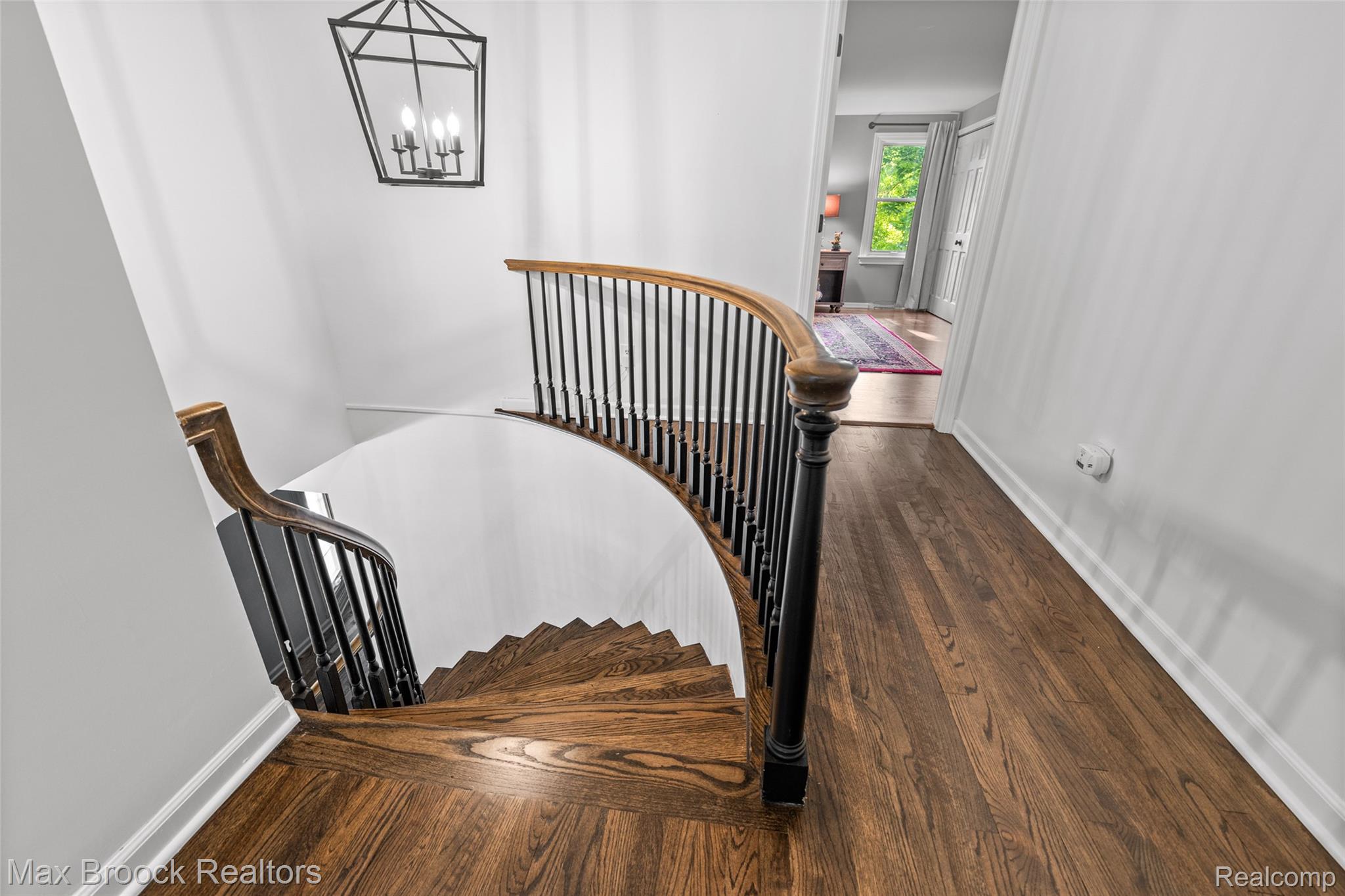 433 Whippers In Court