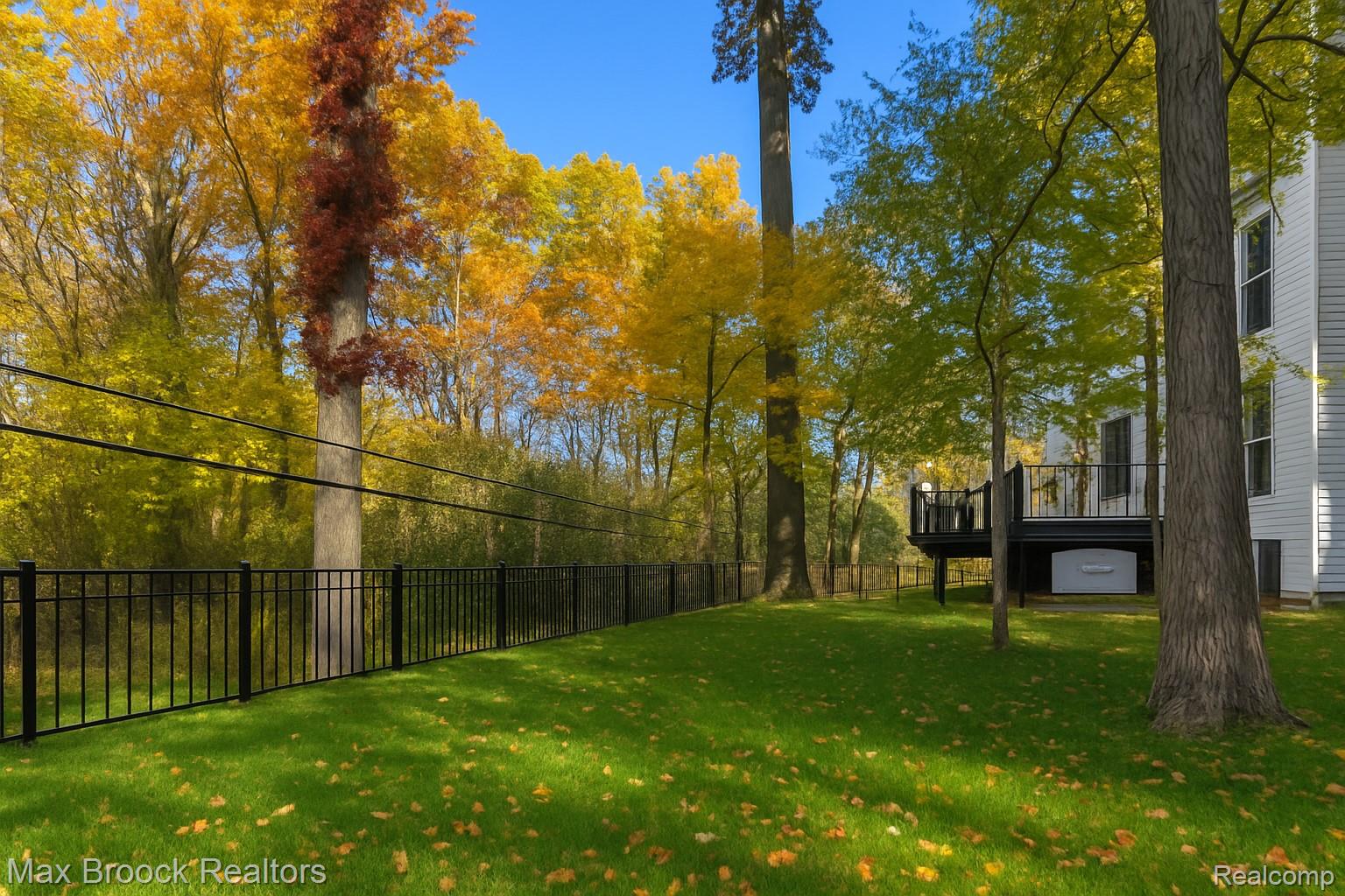 433 Whippers In Court