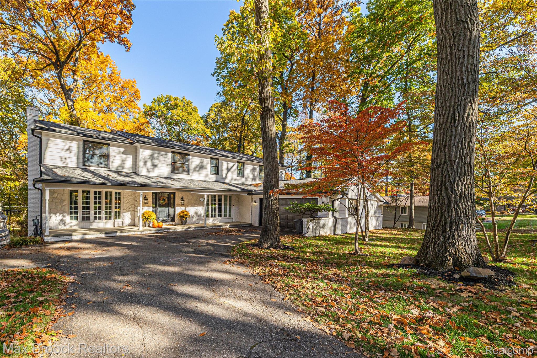 433 Whippers In Court