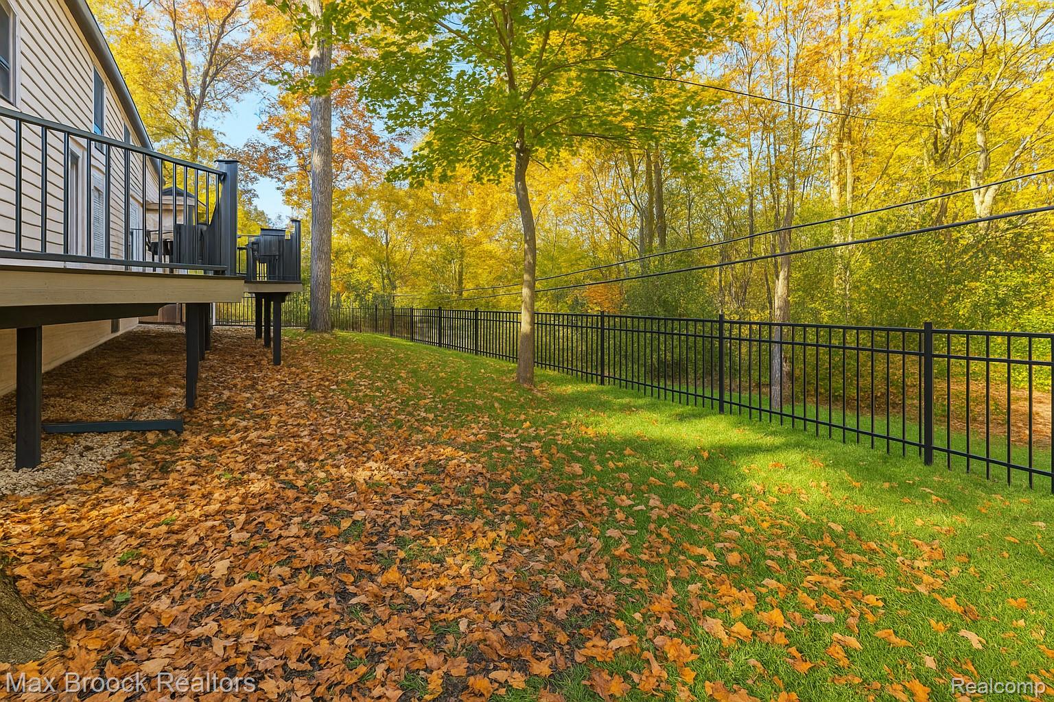 433 Whippers In Court