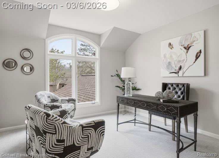 23715 Overlook Circle