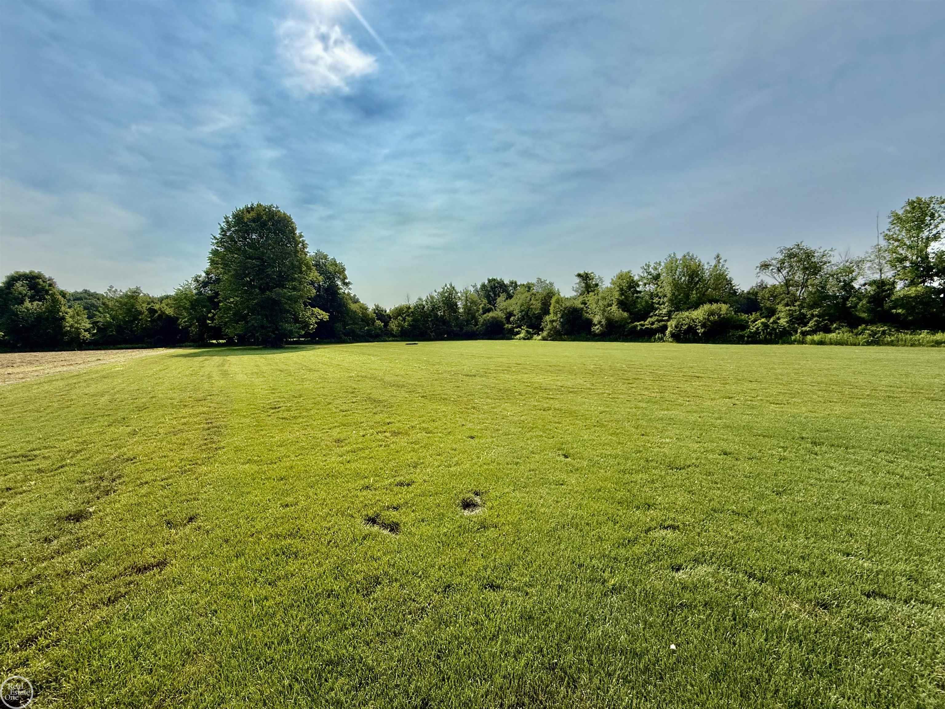 1538 Ashley LN