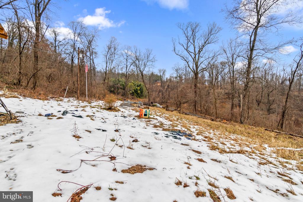 8741 HORNETS NEST ROAD