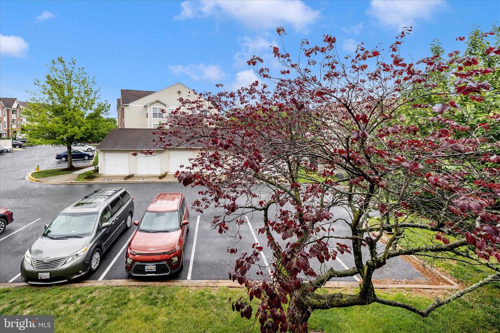 2505 SHELLEY CIRCLE Unit: 5-2C