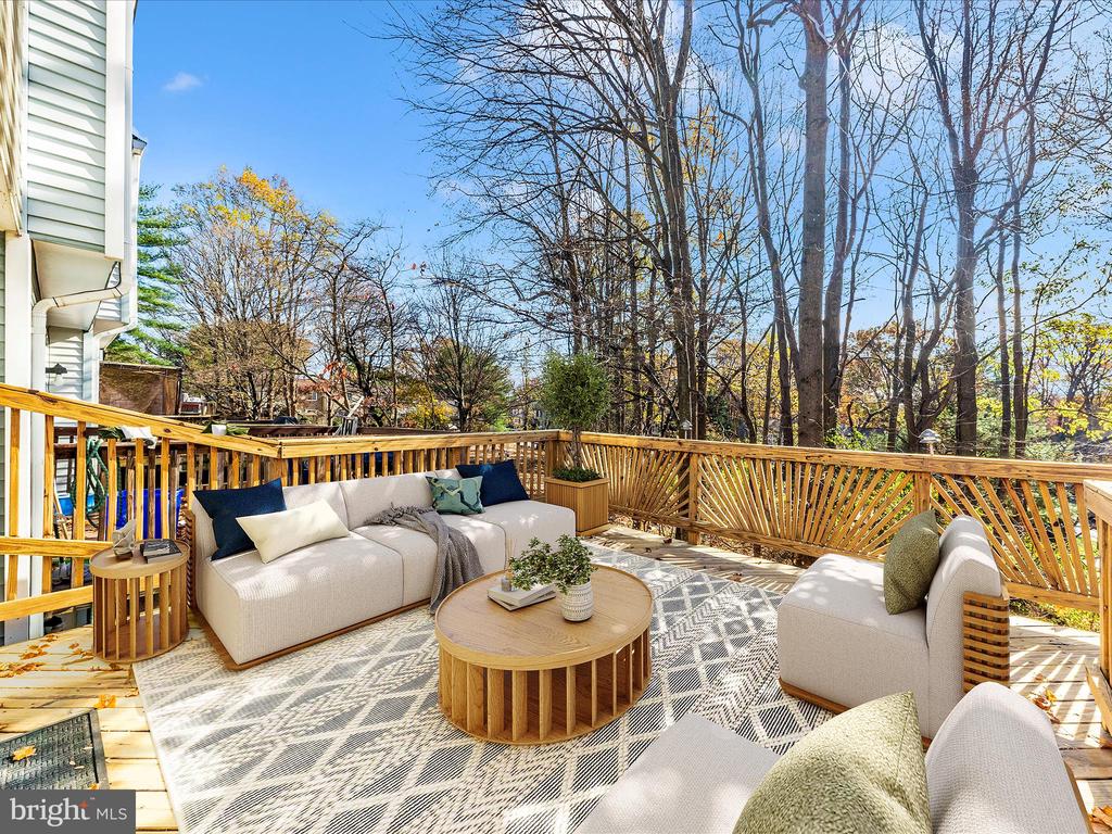 12501 TIMBER HOLLOW PLACE