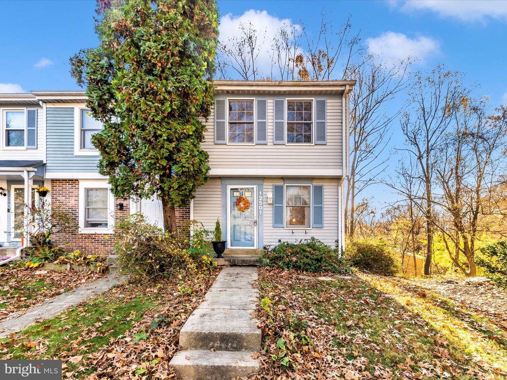 12501 TIMBER HOLLOW PLACE