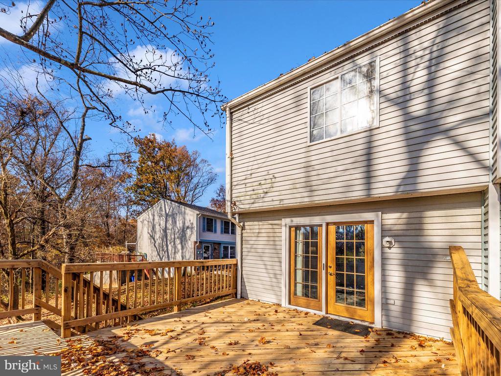 12501 TIMBER HOLLOW PLACE