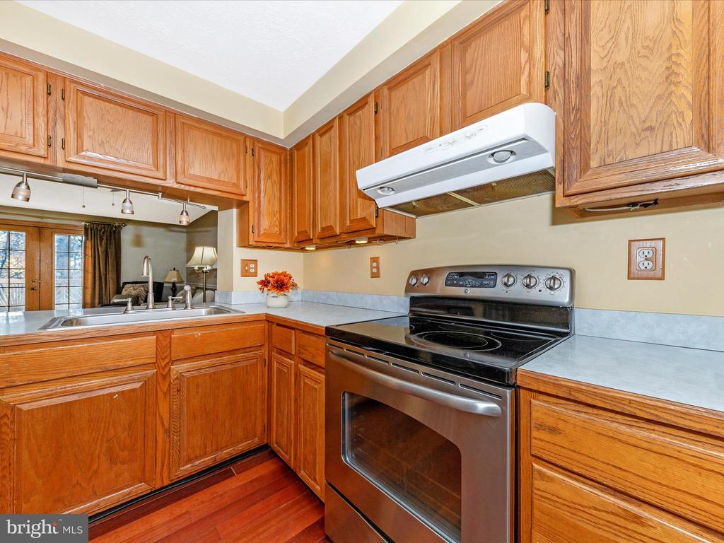 12501 TIMBER HOLLOW PLACE