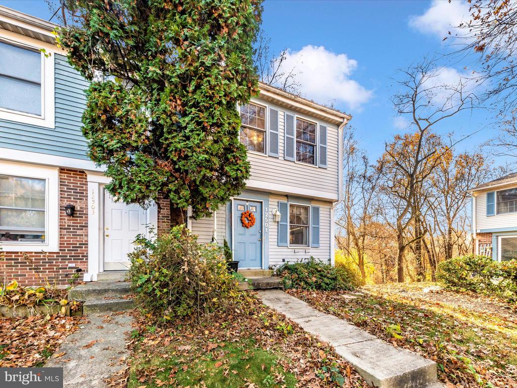 12501 TIMBER HOLLOW PLACE