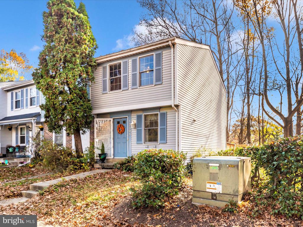 12501 TIMBER HOLLOW PLACE
