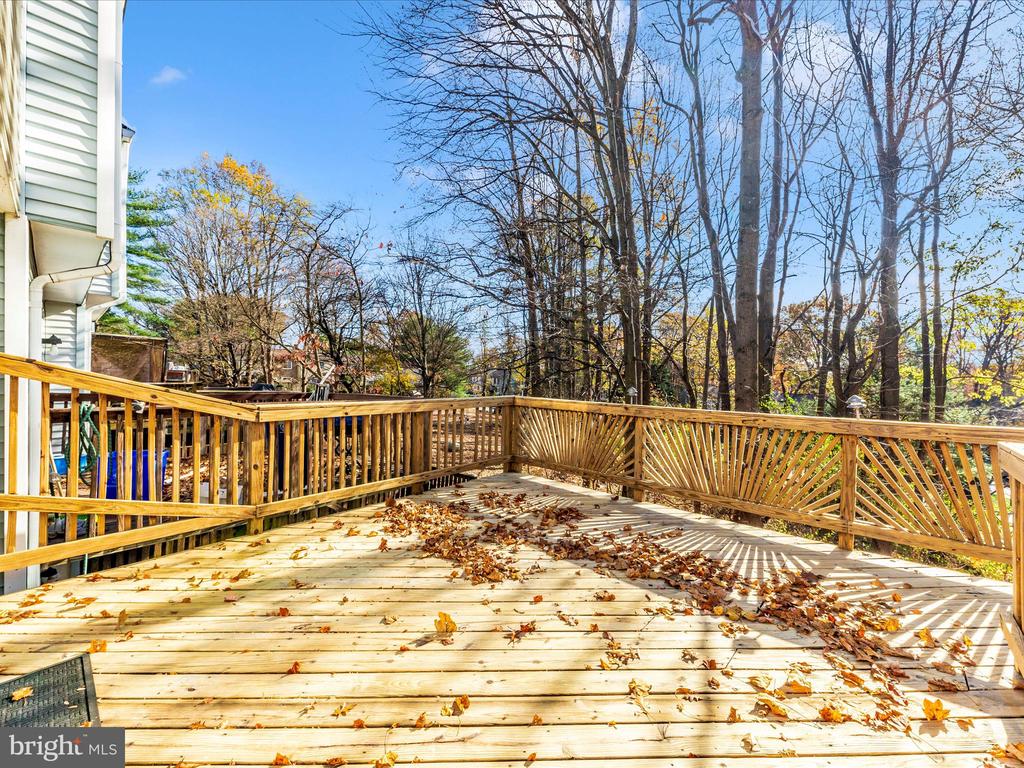 12501 TIMBER HOLLOW PLACE
