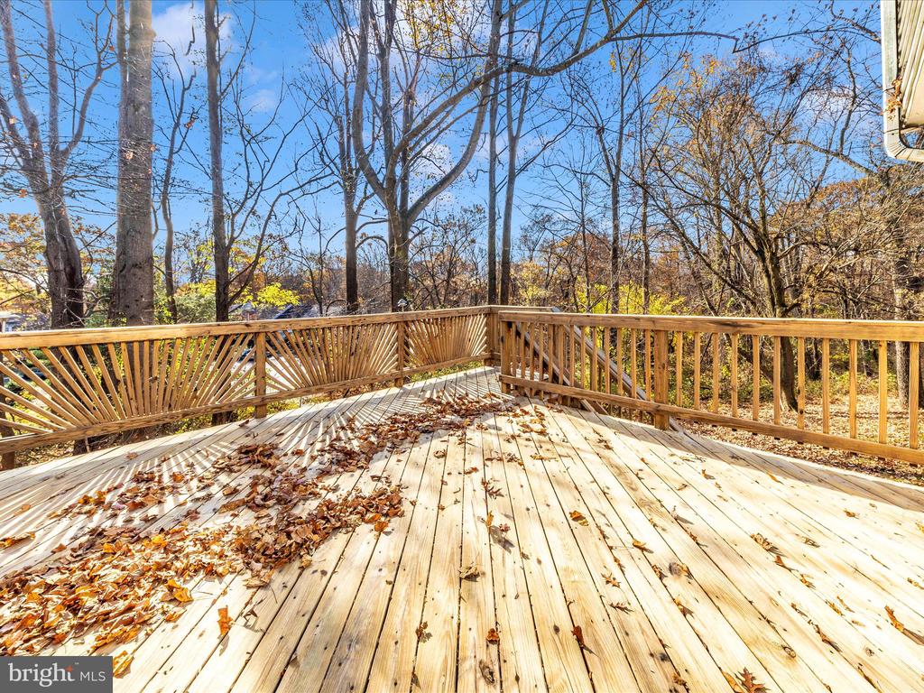 12501 TIMBER HOLLOW PLACE