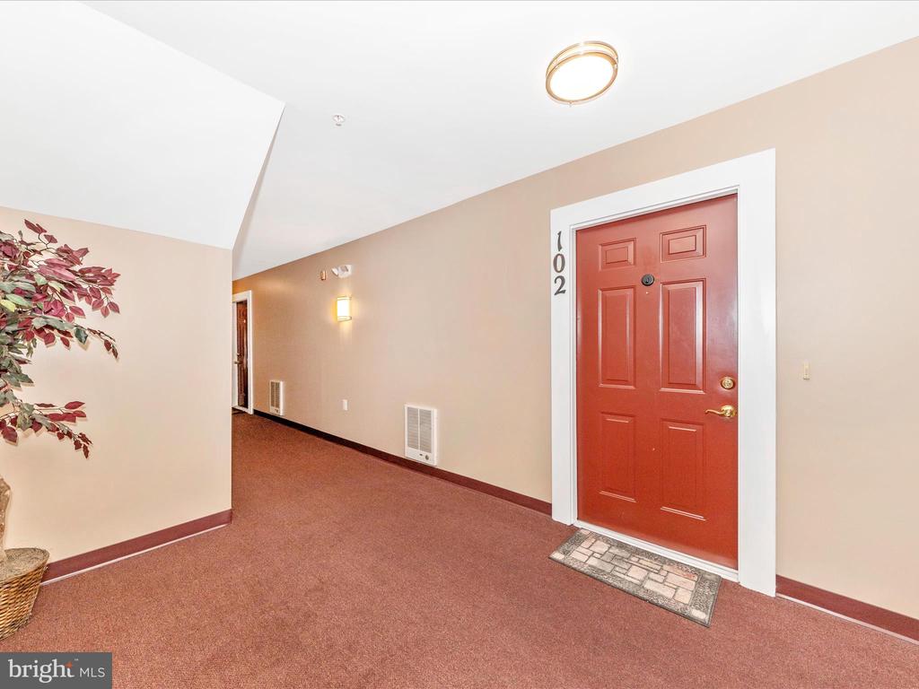 18808 SPARKLING WATER DRIVE Unit: 102