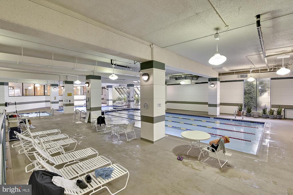 203 YOAKUM PARKWAY Unit: 1002