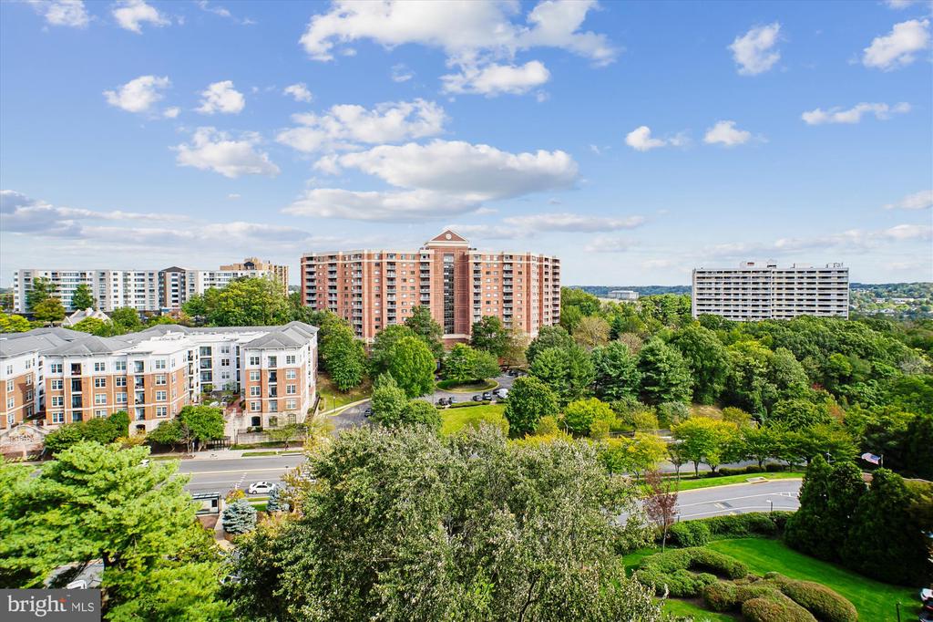 203 YOAKUM PARKWAY Unit: 1002
