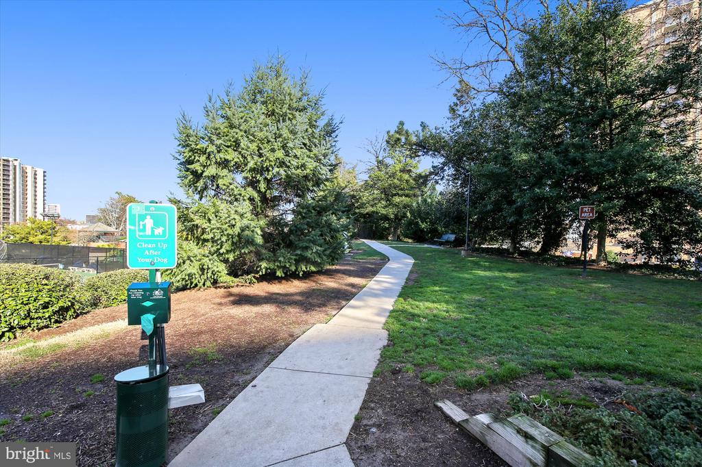 203 YOAKUM PARKWAY Unit: 1002