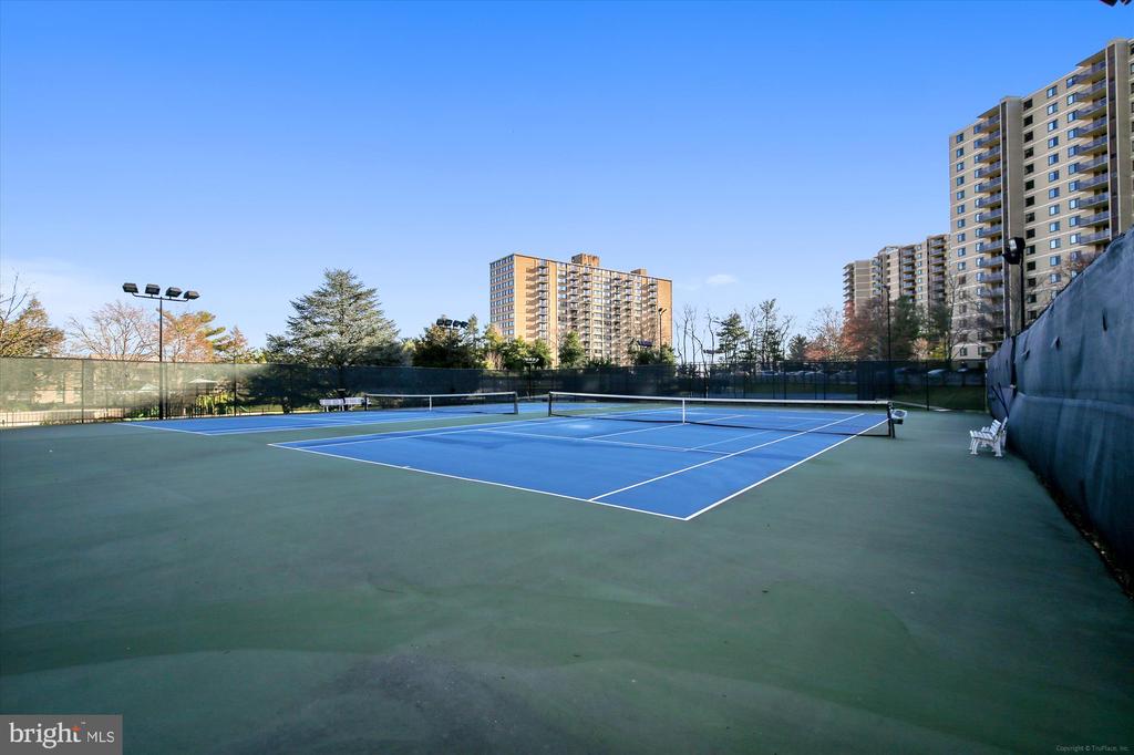 203 YOAKUM PARKWAY Unit: 1002