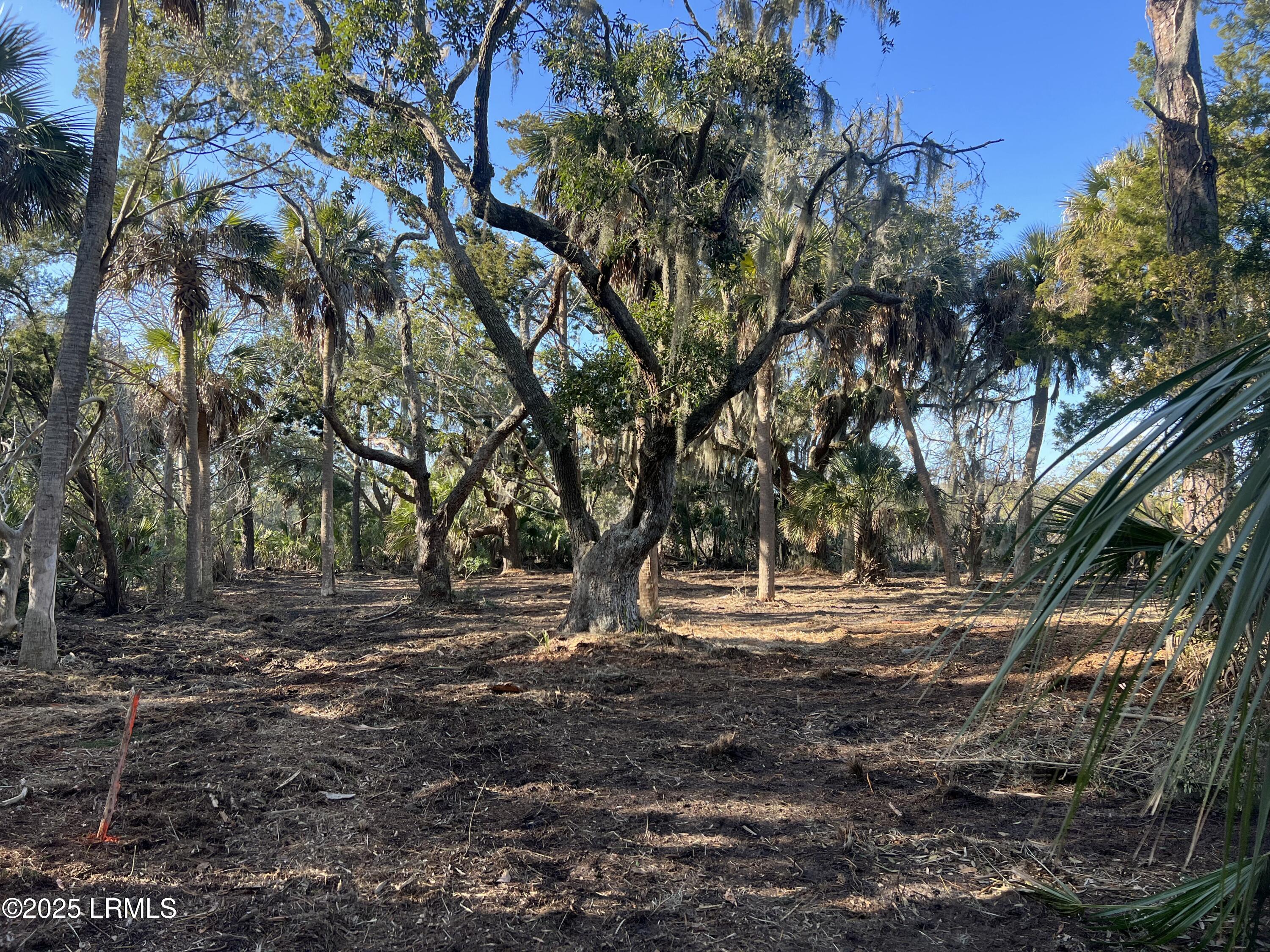 51 Harbor River Circle, St. Helena Island