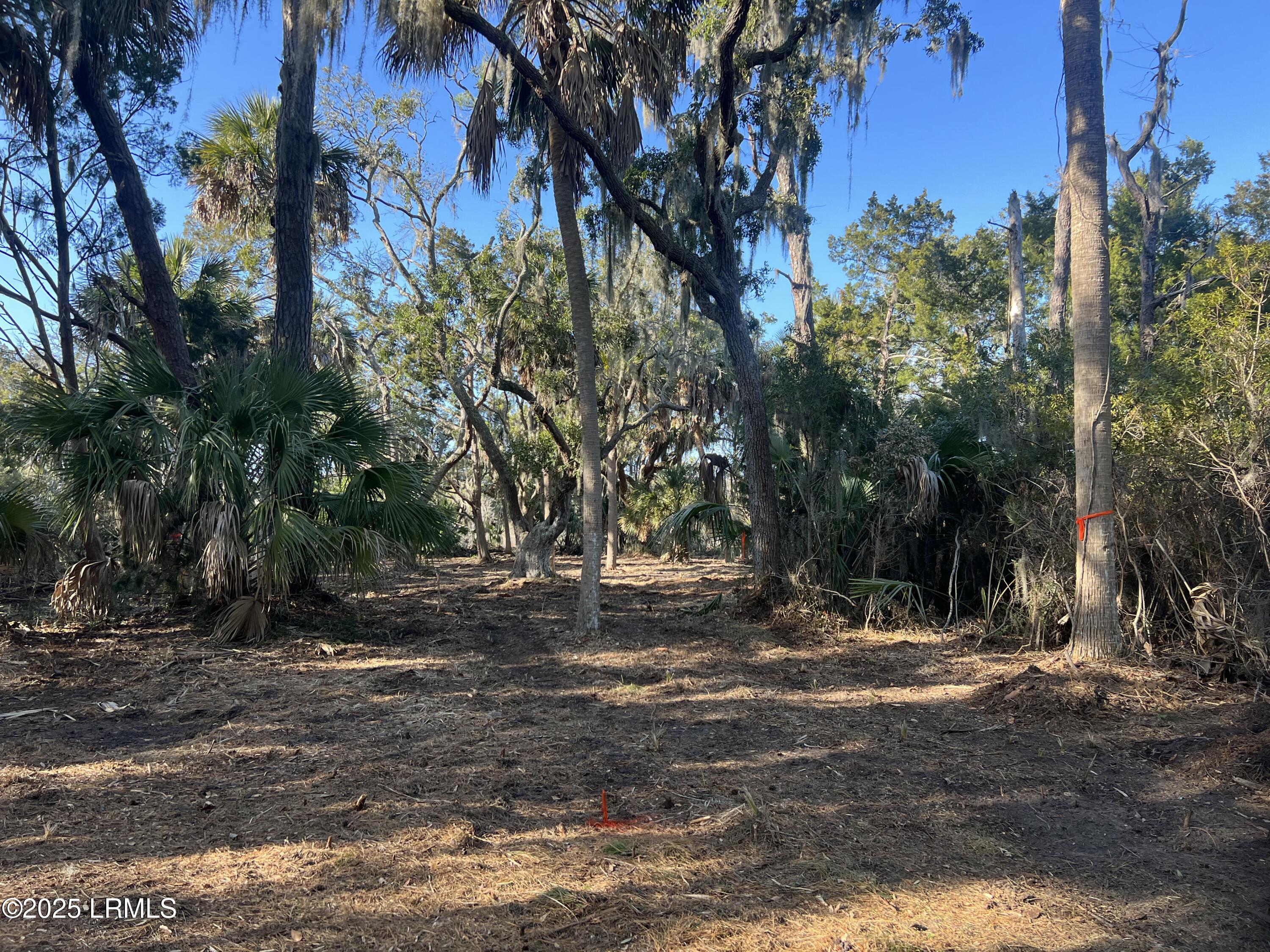 51 Harbor River Circle, St. Helena Island