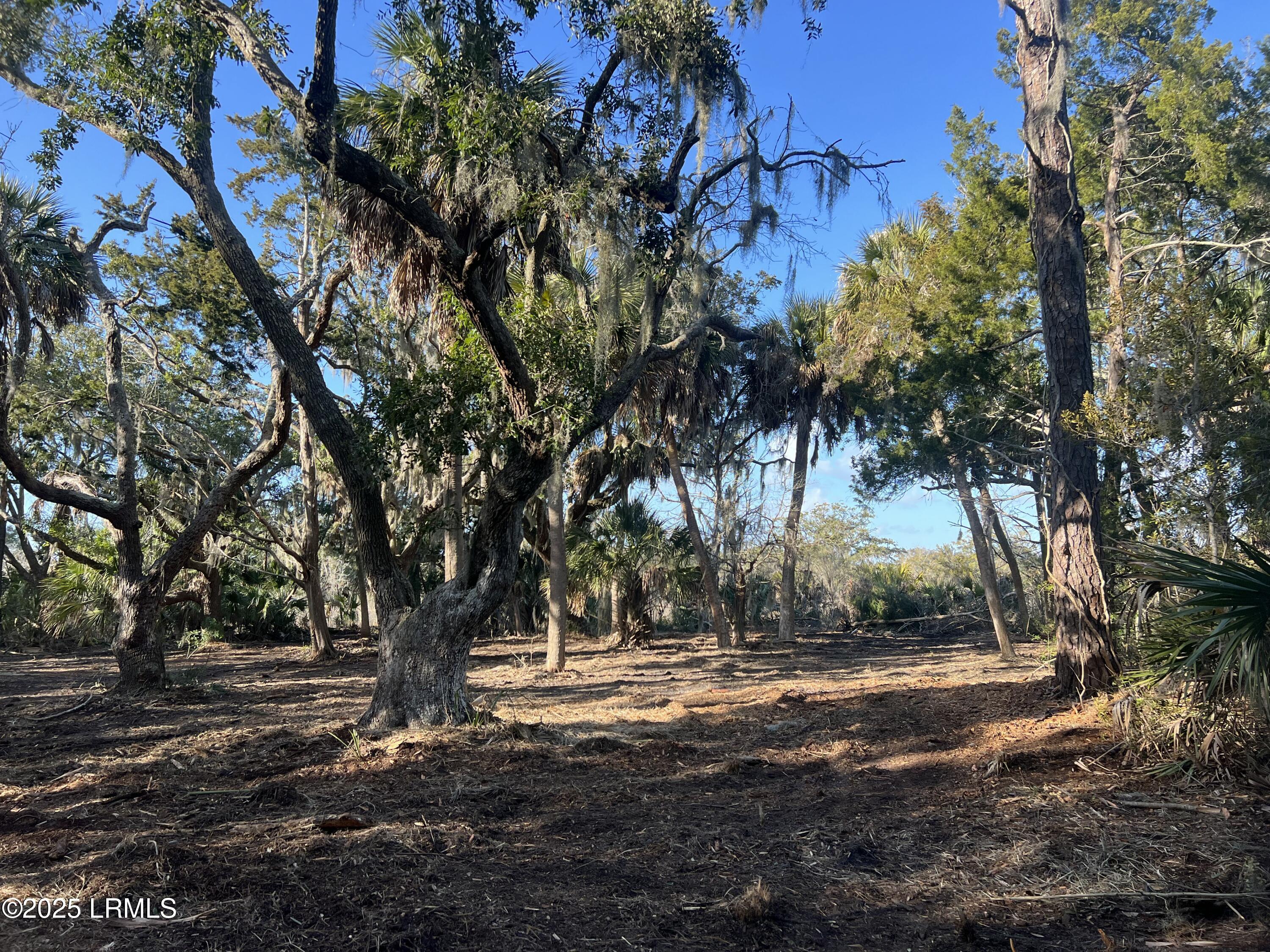 51 Harbor River Circle, St. Helena Island