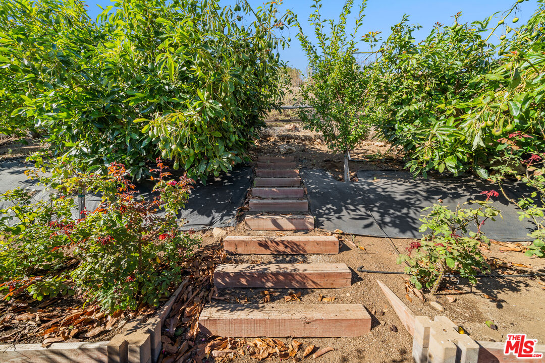 10715 Yerba Buena Rd