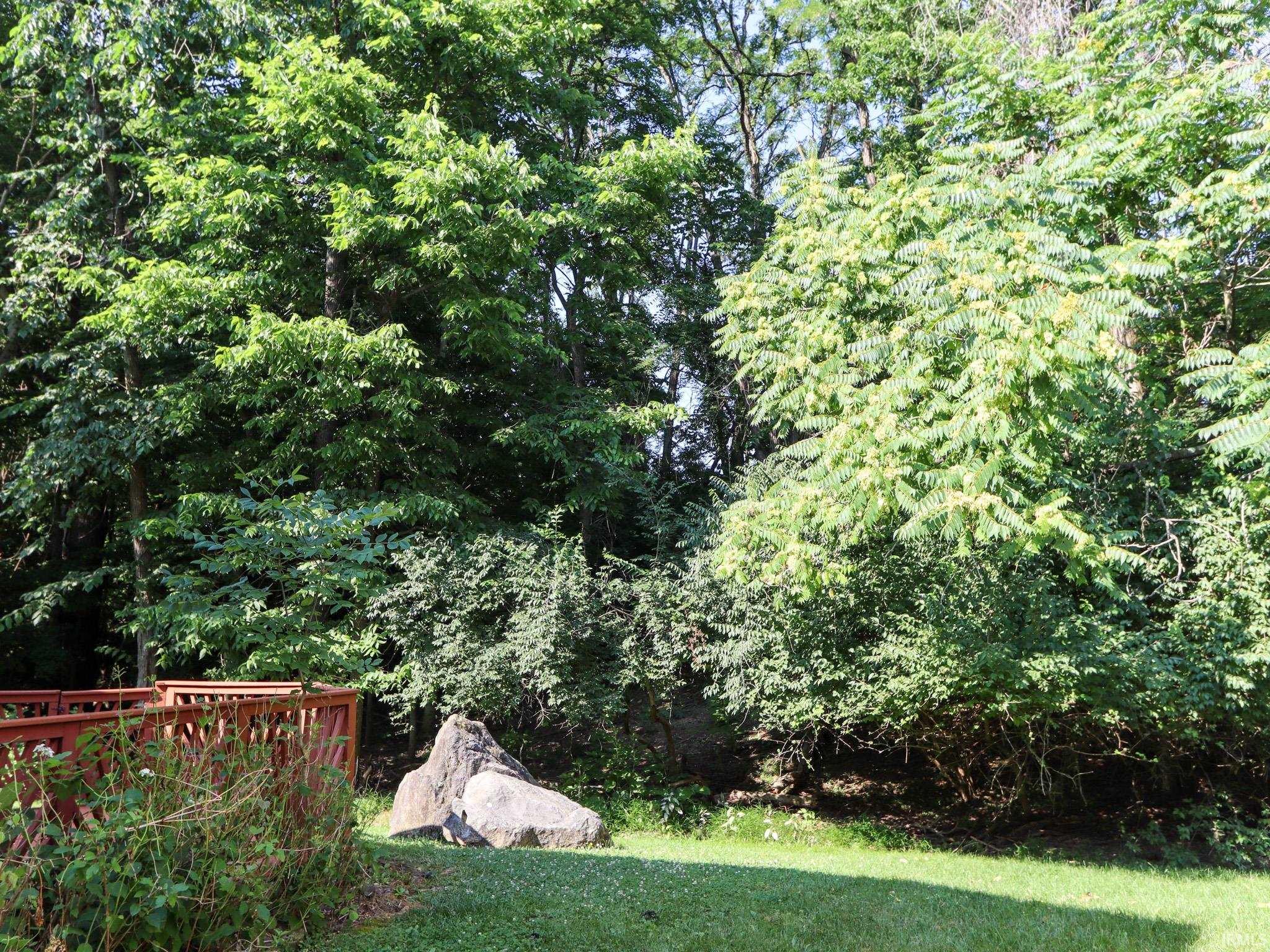 2242 S Sweetbriar Circle