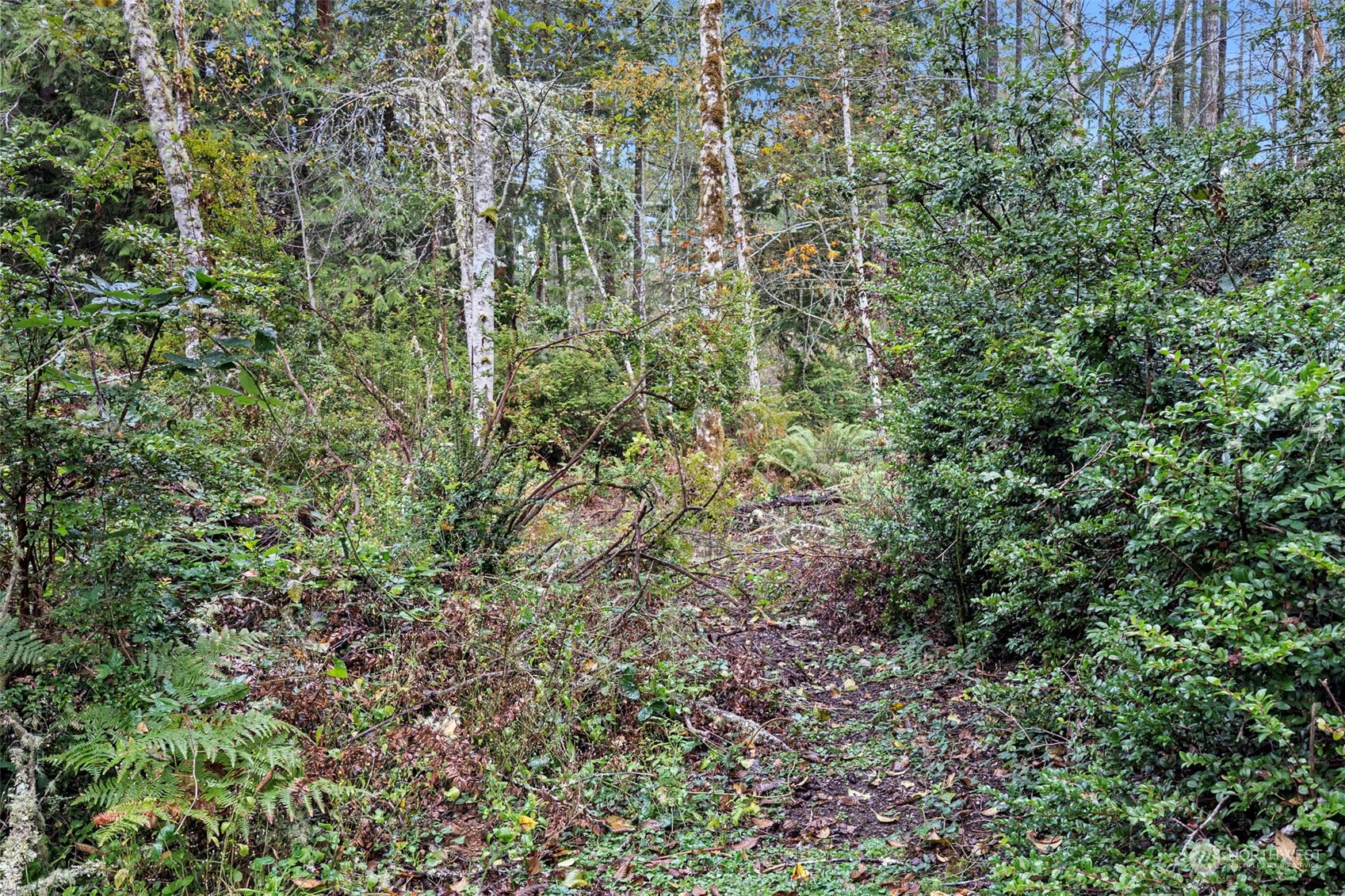 20011 Herron Road NW