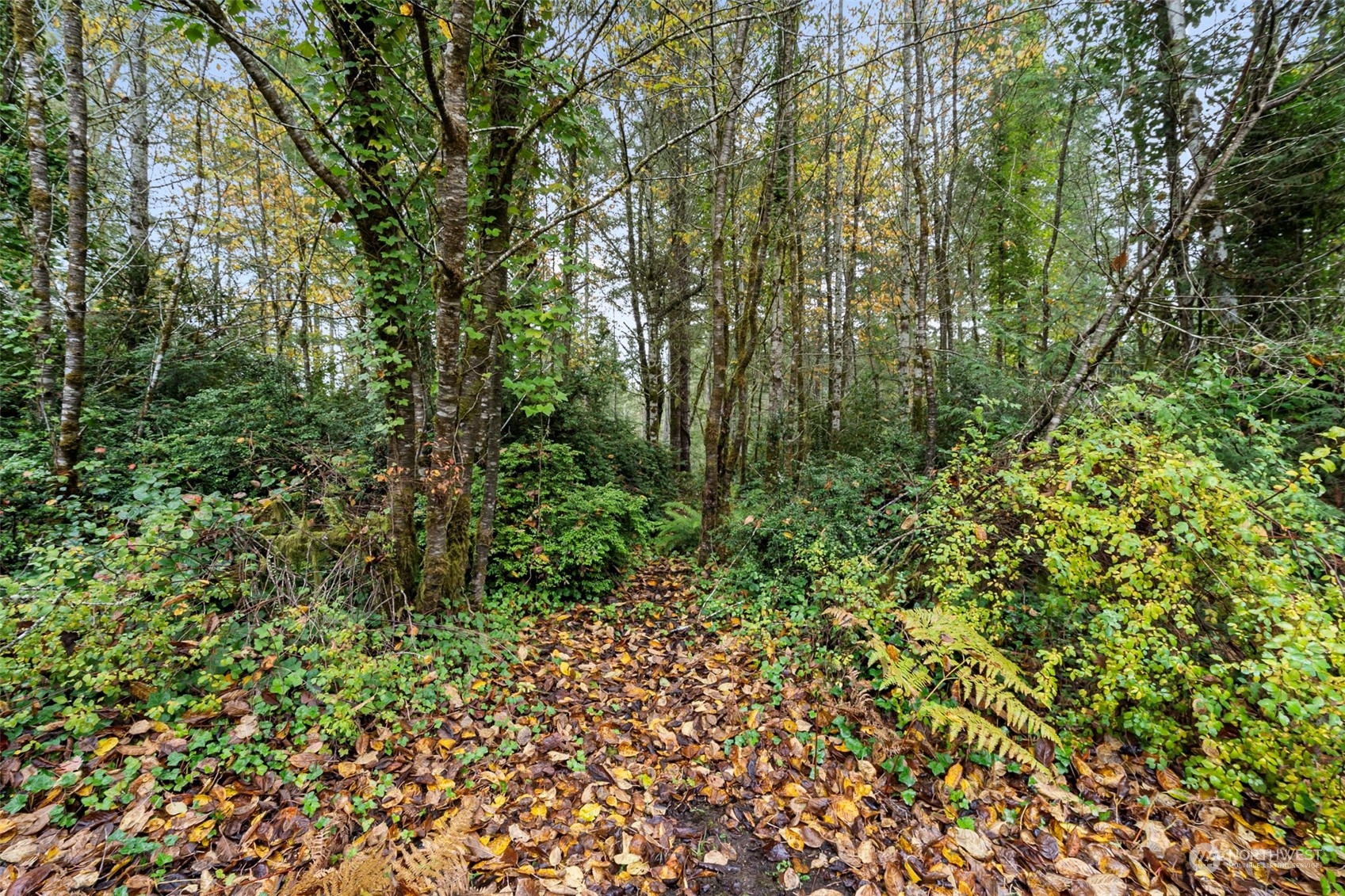 20011 Herron Road NW