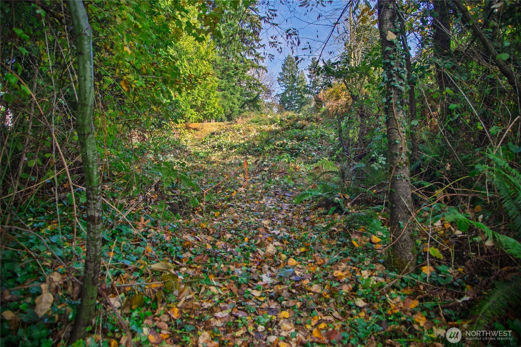 33401 E Lake Holm Drive SE