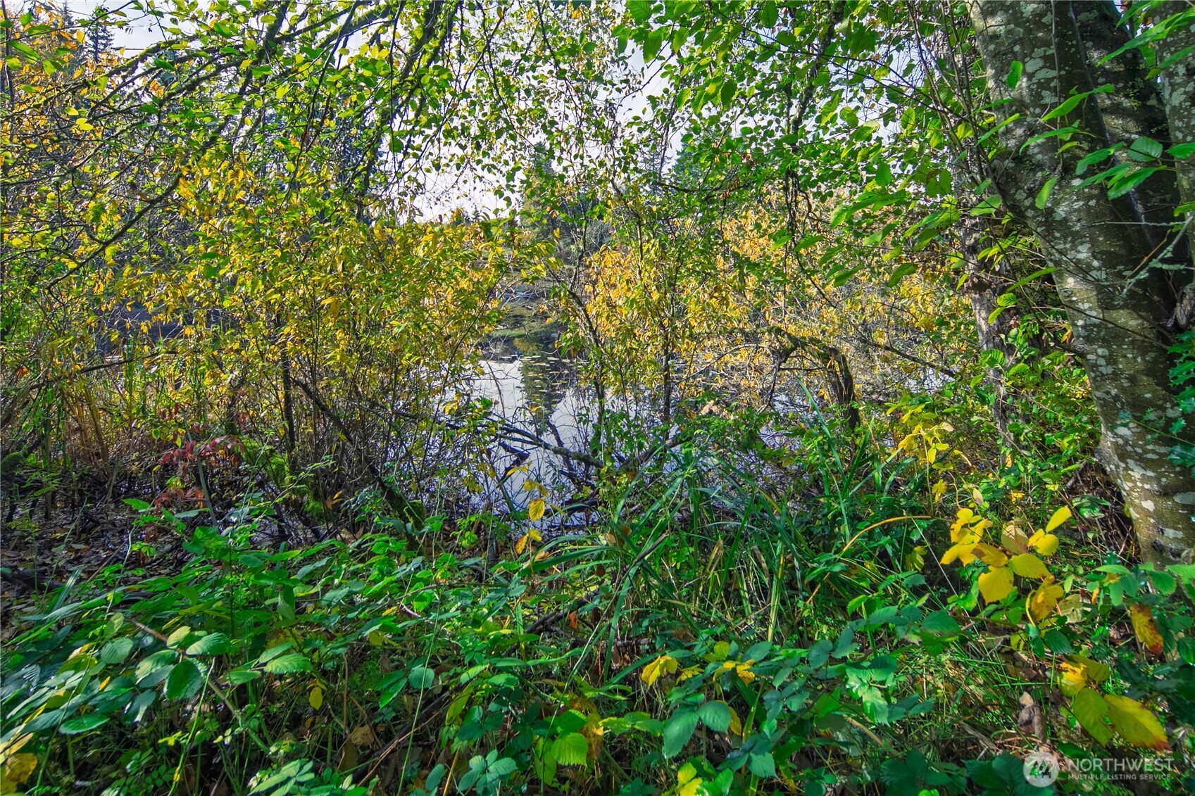 33401 E Lake Holm Drive SE