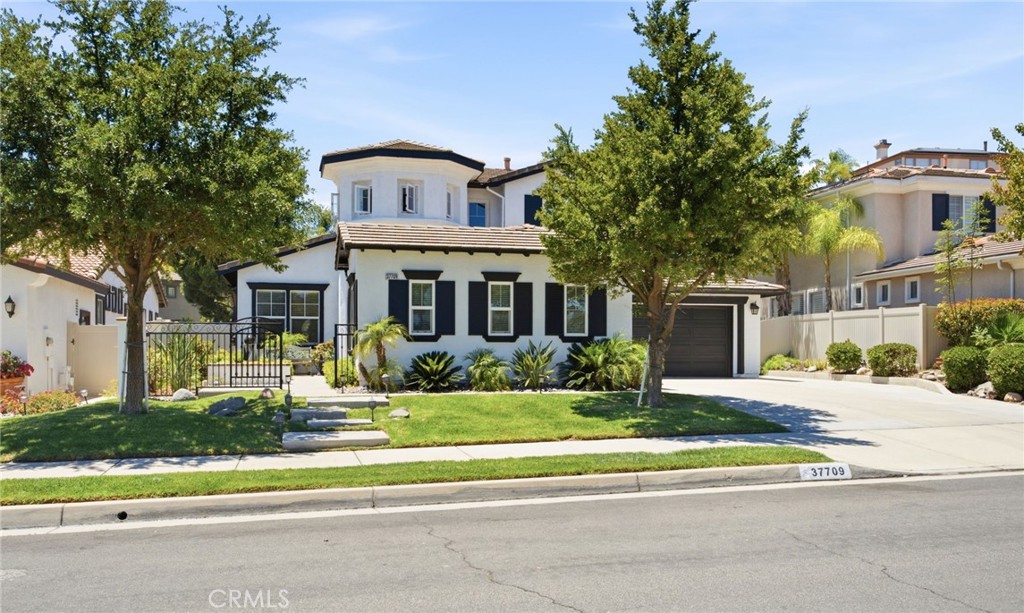 37709 Oxford Drive