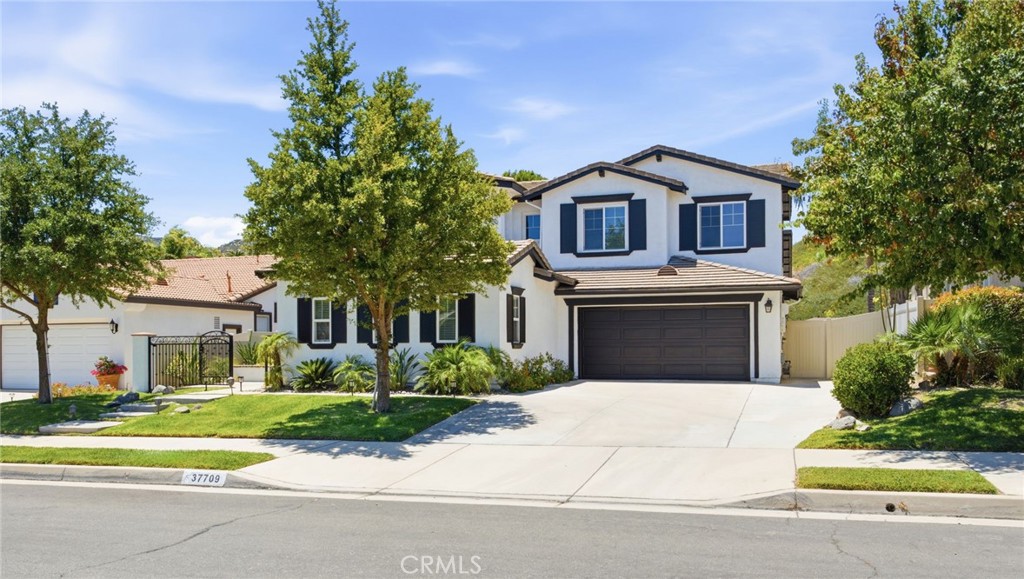 37709 Oxford Drive