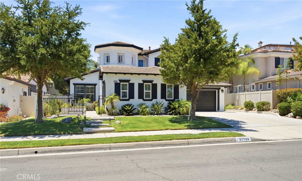 37709 Oxford Drive