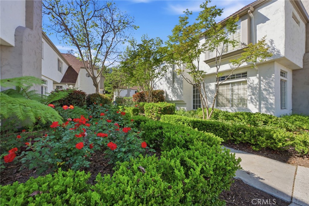 23654 Wellesley Court 19