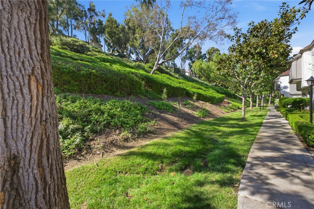 23654 Wellesley Court 19