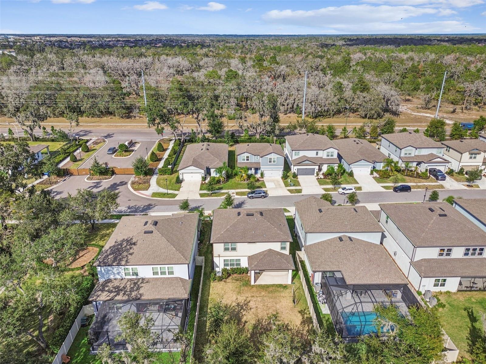 14161 HAMMOCK CREST WAY