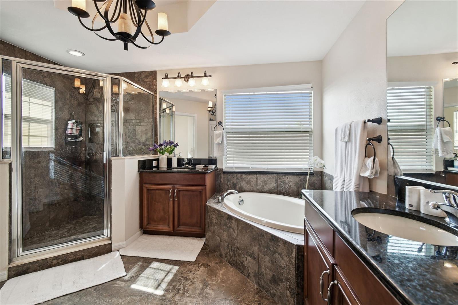 8542 EAGLE BROOK DR